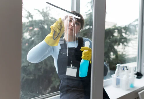 Nettoyage de vitres intérieures et extérieures à Hautecour